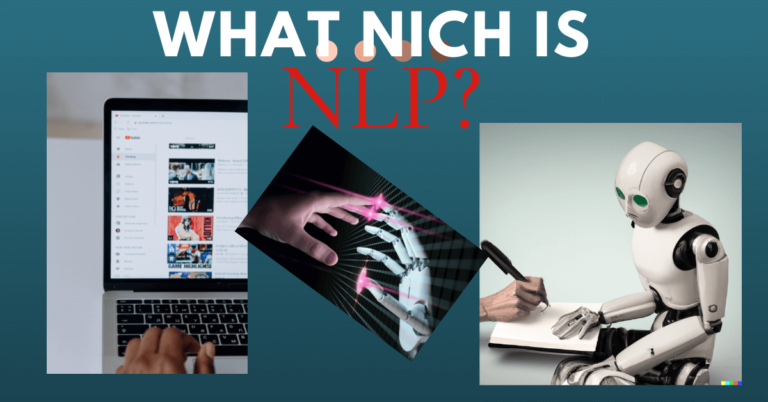 What niche is NLP?